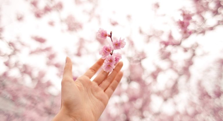 Maintaining Marital Happiness | Muslim Marriage Guide