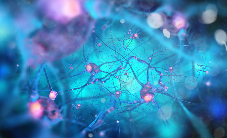 Neurocardiology and the Spiritual Heart part2