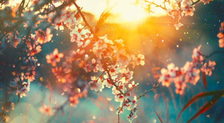 Distinguishing Qualities of Islam | Part 4