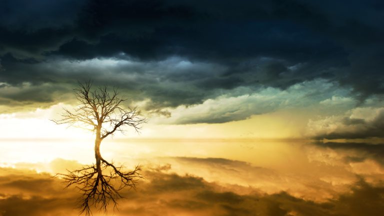 The Hidden Mercy Within Suffering